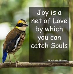 Quote: "Joy is a net of love..."