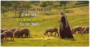 Quote: The Good Shepherd...