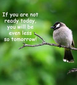 Quotation "If you are not ready today..."