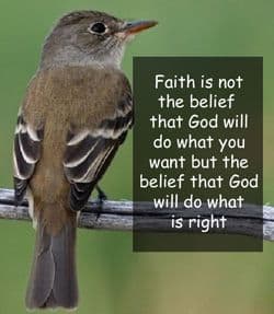 Quote: "Faith is not..."