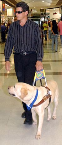 Blind man with guide dog