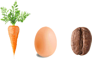 A carrot, egg and a coffee bean.