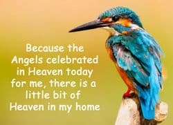 Quotation: "Because the Angels celebrated..."