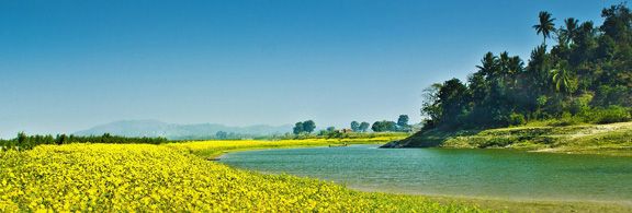 Countryside view of meadow, river and trees.