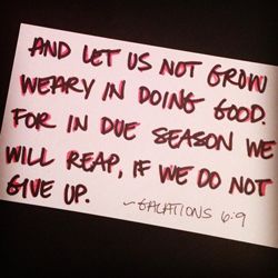 Quote: "And let us not..."