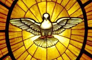 Image of Dove - emblem of the Holy Spirit.