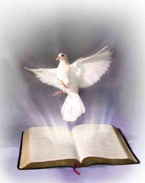 Sketch of a dove hovering above a Bible