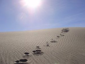 Single set of footprints in sand.