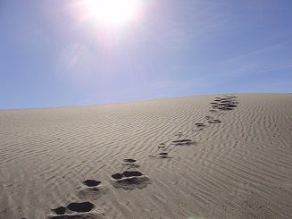 Single set of footprints in sand.