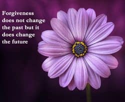 Quote - Forgiveness