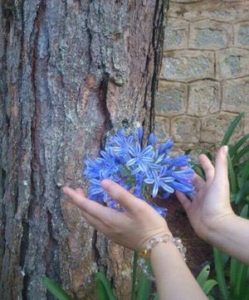 Hands reaching for beautiful flower