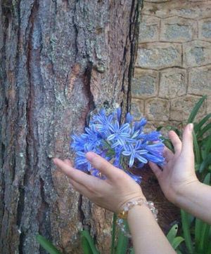 Hands reaching for beautiful flower