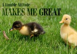 Quote: "Humble attitude makes me great"