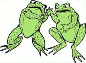 Friendly Frogs!