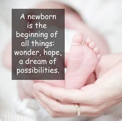 Quotation - Newborn