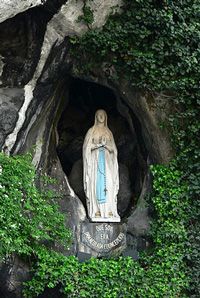 Image of statue of Our Lady of Lourdes at Lourdes Grotto.