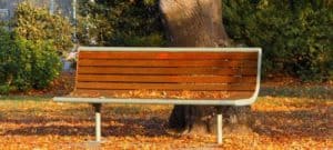 Park Bench underneath trees