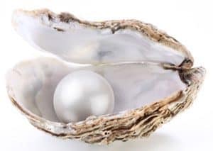 Pearl inside shell