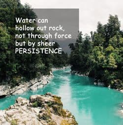 Quote: "Persistence - Water can hollow..."