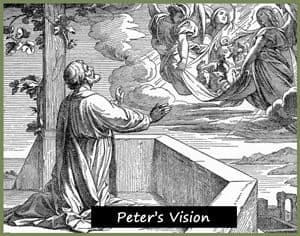 Sketch of Peter's vision