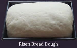 Bread dough