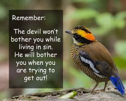 Quote: "Remember, the devil won't..."