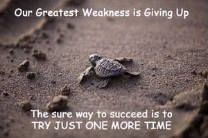 Quote - Weakness: "Our greatest weakness is..."