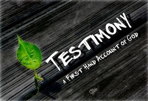 Script: Testimony