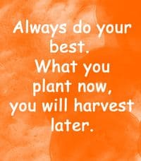 Quote: "Always do your best..."