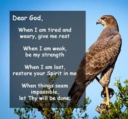 Quote: "Dear God, when I am tired..."