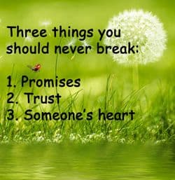 Quote - Trust: "Three things you should never..."