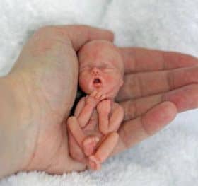 Unborn child in palm of hand