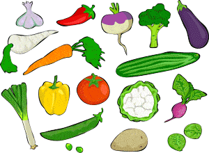 Coloured sketch of multiple vegetables.
