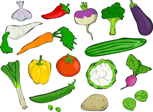 Coloured sketch of multiple vegetables. 