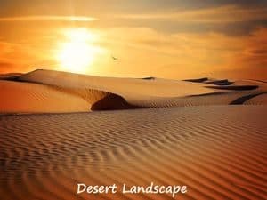 Desert landscape