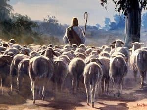 Jesus, as shepherd, leading a flock of sheep