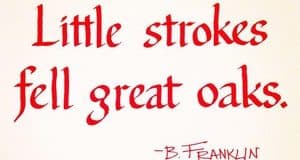 Quote: Little strokes...