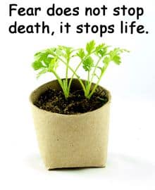 Quote: Fear does not stop death, it stops life