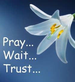 Quote: Pray, Wait, Trust