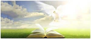 Dove & Book - Holy Spirit