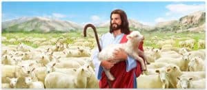 Jesus the Shepherd