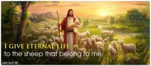 Jesus the Shepherd