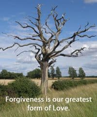 Quote: Forgiveness is...