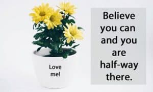 Quote: Believe you can...