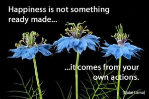 Quote: Happiness is not...