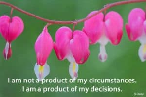 Quote: I am Not a...