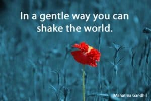 Quote: In a gentle way...