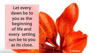 Quote: Let every dawn be...