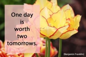 Quote: One Day is...