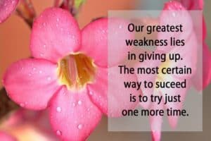 Quote: Our greatest weakness...
